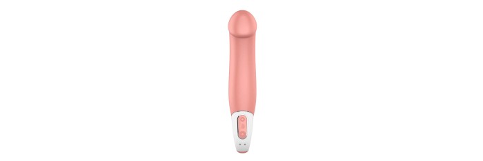 Vibromasseur Master - Satisfyer