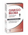 Ginkgo Biloba extra fort 60 gélules