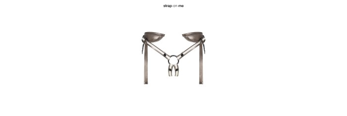 Harnais en cuir Desirous - Strap On Me