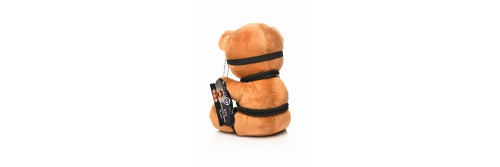 Ours en peluche en tenue Bondage