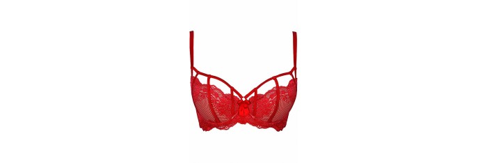 Soutien-gorge V-8981 - Axami