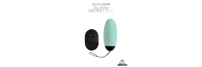 My vibrating secret egg - Bleu