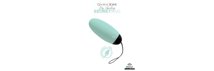 My vibrating secret egg - Bleu