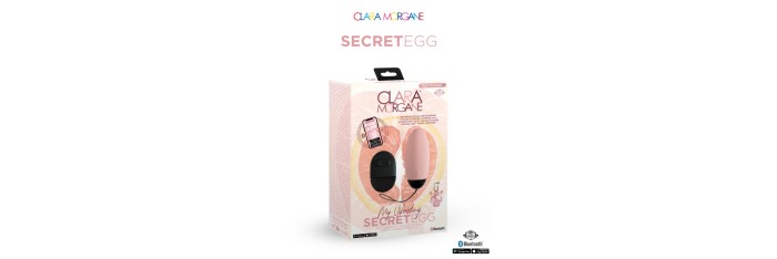 My vibrating secret egg - Rose