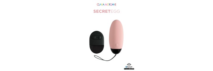 My vibrating secret egg - Rose