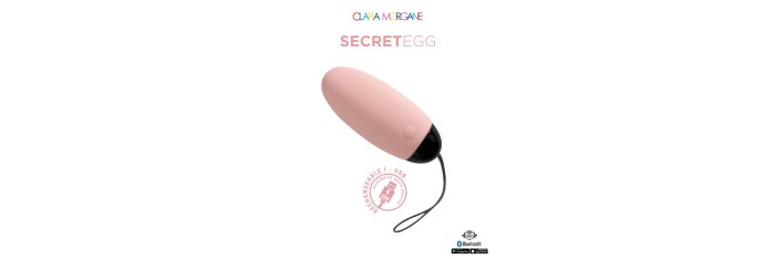 My vibrating secret egg - Rose