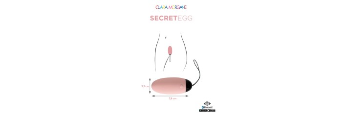 My vibrating secret egg - Rose