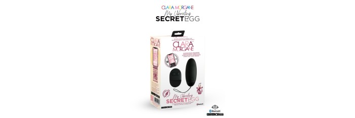 My vibrating secret egg - Noir