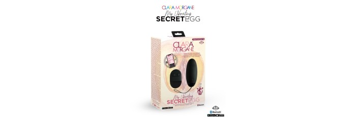 My vibrating secret egg - Noir