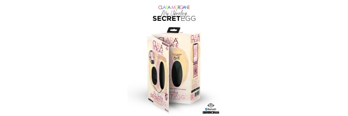 My vibrating secret egg - Noir