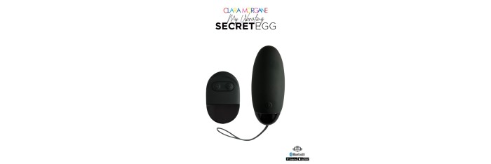 My vibrating secret egg - Noir