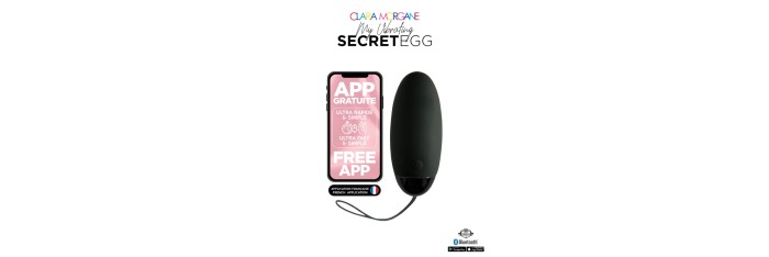 My vibrating secret egg - Noir