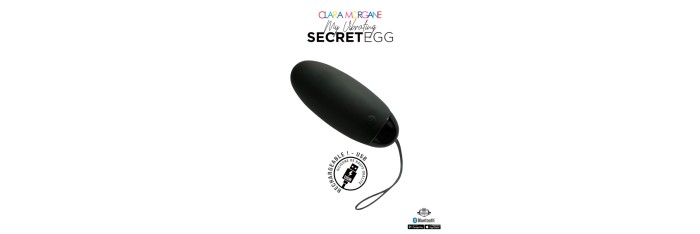 My vibrating secret egg - Noir