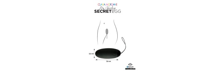 My vibrating secret egg - Noir